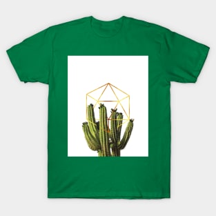 Cactohedron T-Shirt